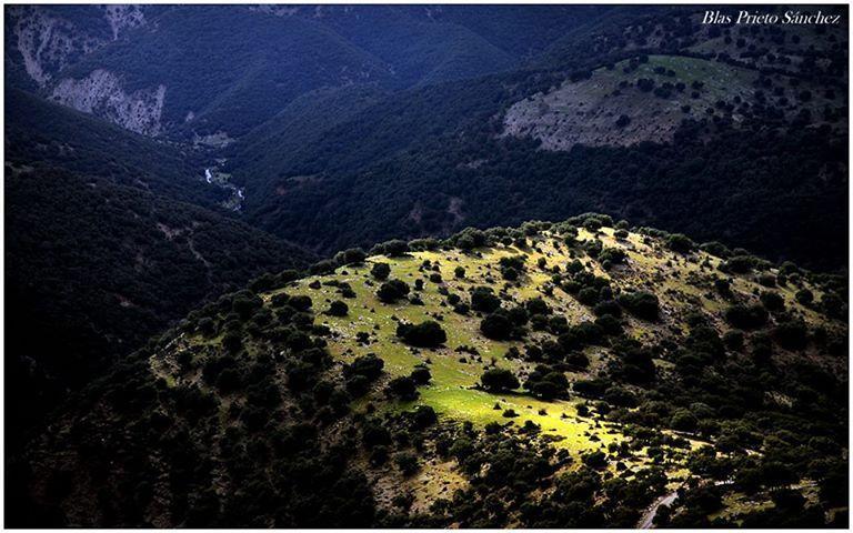Apartamentos Turisticos Rurales Monte De Las Animas Valdepenas de Jaen Экстерьер фото