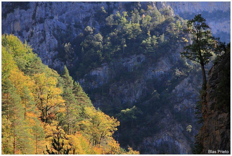 Apartamentos Turisticos Rurales Monte De Las Animas Valdepenas de Jaen Экстерьер фото