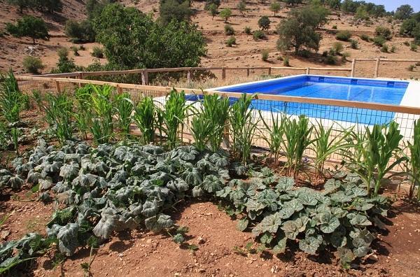 Apartamentos Turisticos Rurales Monte De Las Animas Valdepenas de Jaen Экстерьер фото